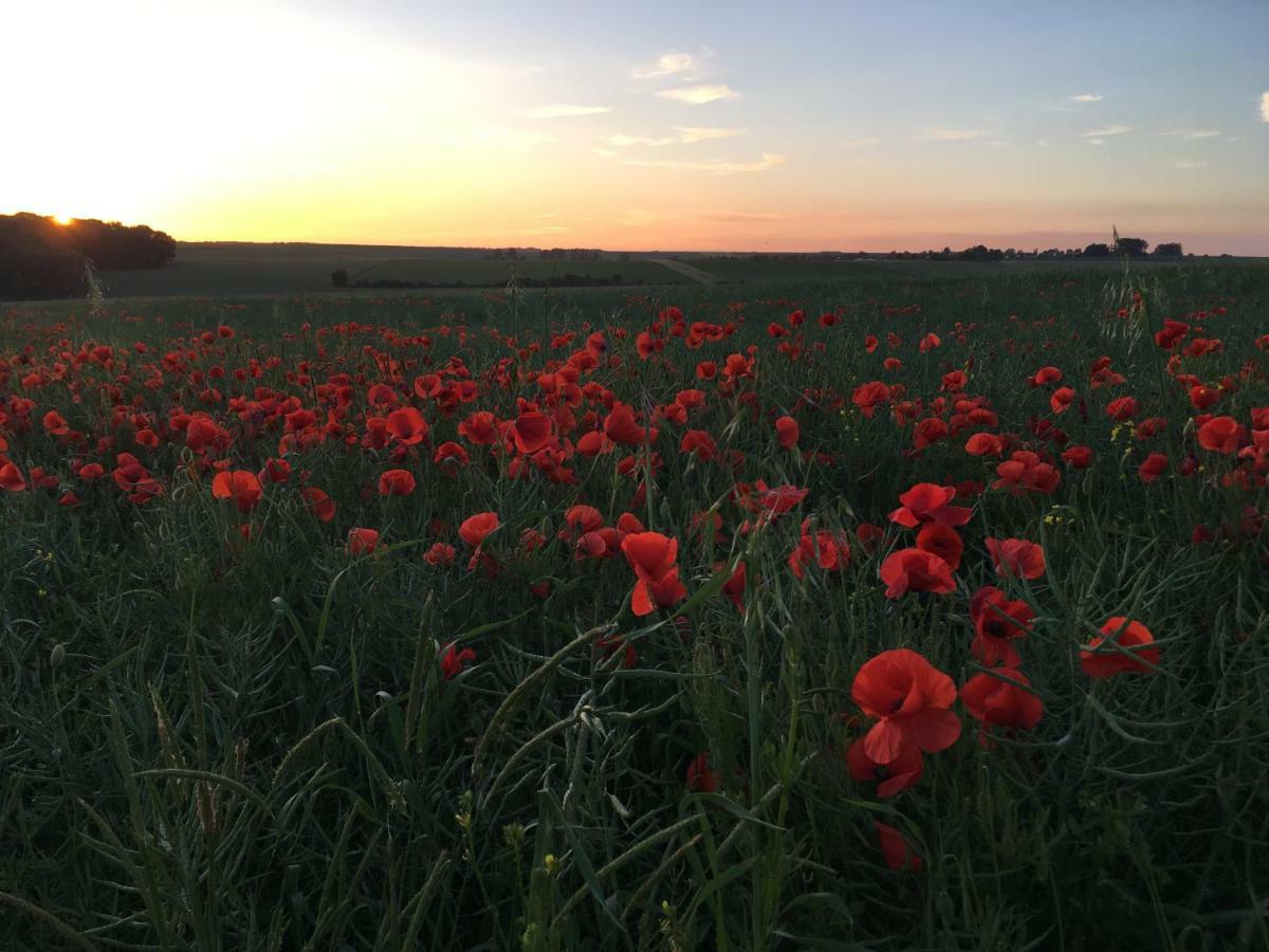 Dupres House, Chavasse Farm, Somme Battlefields Vila Hardecourt-aux-Bois Exterior foto